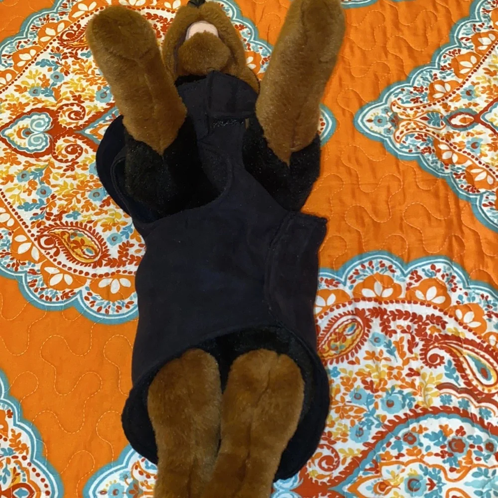 Black dog jacket - Picture 3 of 5